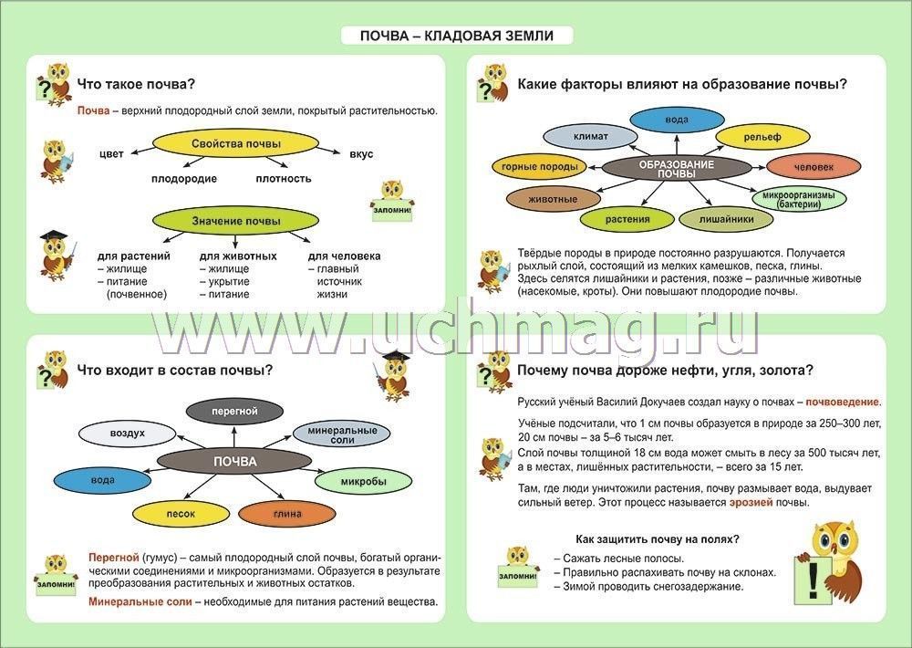 Окружающий мир 2 класс основные темы. Окружающий мир начальная школа в таблицах. Окружающий мир памятки. Плакаты по окружающему миру для начальной школы. Таблицы по окружающему миру для начальной школы.