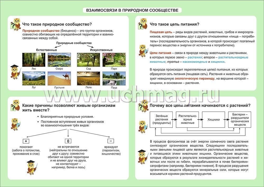 Рассказ о природном сообществе по плану. Природное сообщество окружающий мир. Таблица по окружающему миру. Природные сообщества таблица. Природные сообщества 4 класс окружающий мир.