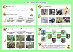 Окружающий мир. Лес - природное сообщество. 1-4 классы: Таблица-плакат 420х297 — интернет-магазин УчМаг