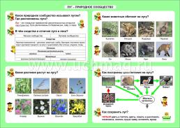 Окружающий мир. Луг - природное сообщество. 1-4 классы: Таблица-плакат 420х297 — интернет-магазин УчМаг