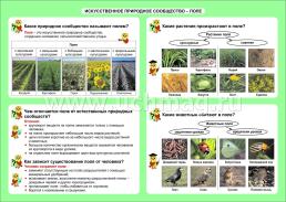 Окружающий мир. Искусственное природное сообщество - поле. 1-4 классы: Таблица-плакат 420х297 — интернет-магазин УчМаг