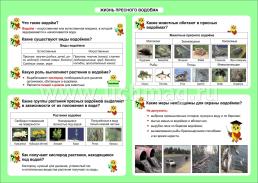 Окружающий мир. Жизнь пресного водоема. 1-4 классы: Таблица-плакат 420х297 — интернет-магазин УчМаг