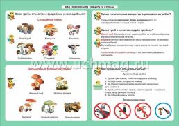 Окружающий мир. Как правильно собирать грибы. 1-4 классы: Таблица-плакат 420х297 — интернет-магазин УчМаг