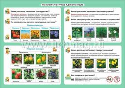 Окружающий мир. Растения культурные и дикорастущие. 1-4 классы: Таблица-плакат 420х297 — интернет-магазин УчМаг