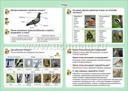 Окружающий мир. Птицы. 1-4 классы: Таблица-плакат 420х297 — интернет-магазин УчМаг