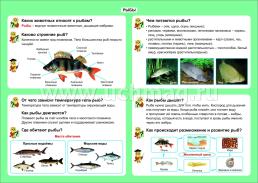 Окружающий мир. Рыбы. 1-4 классы: Таблица-плакат 420х297 — интернет-магазин УчМаг