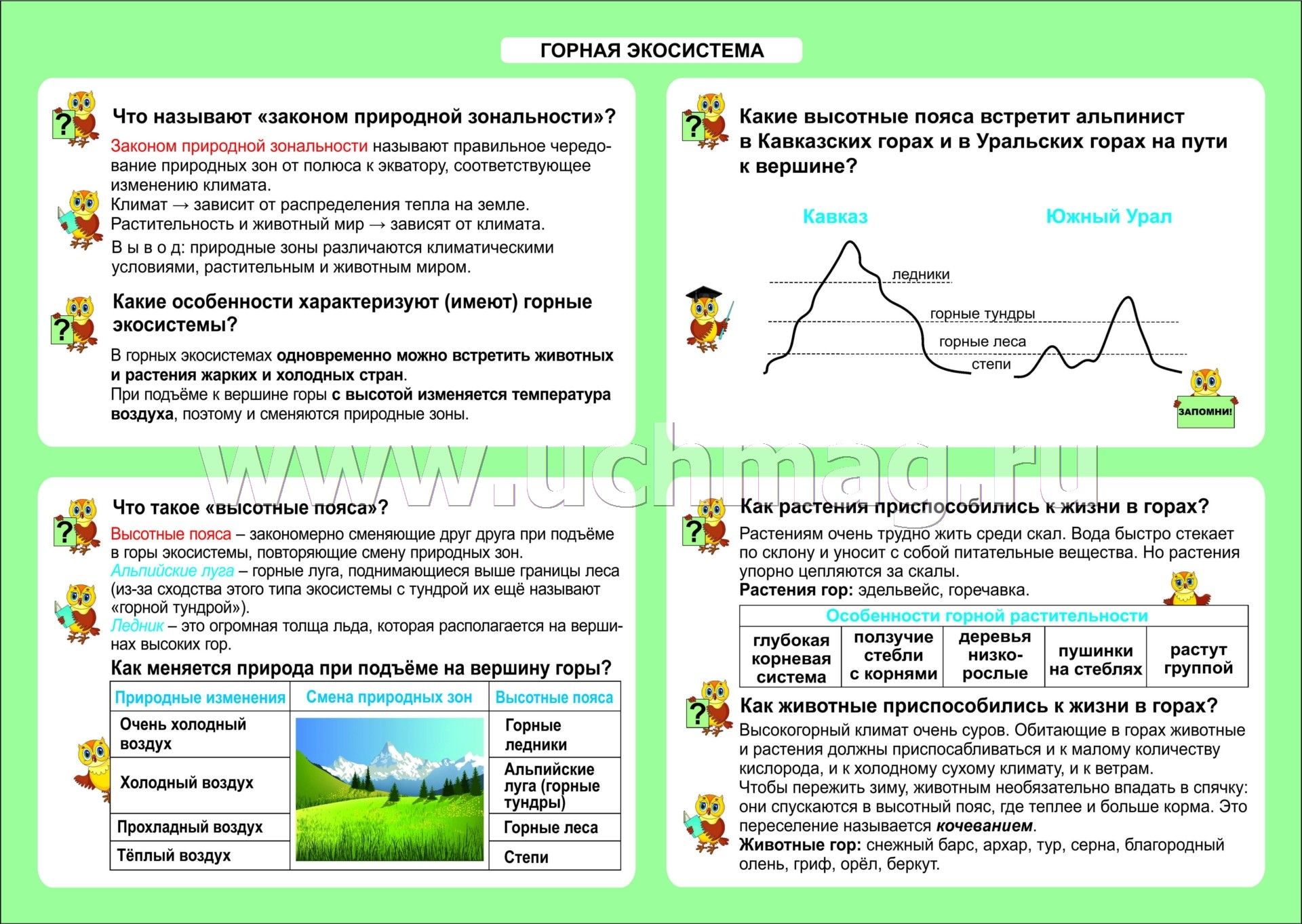Экосистема горы презентация
