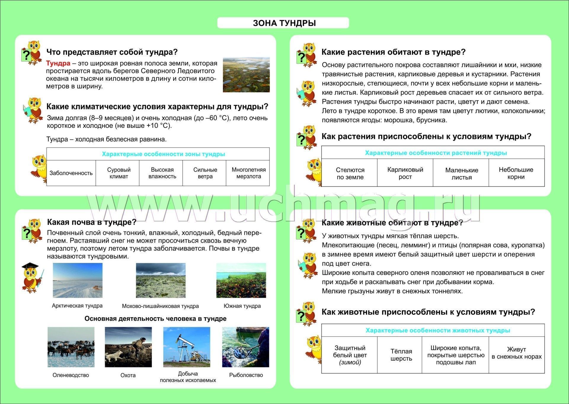 Тесты окружающий мир тундра. Зона тундры таблица 4 класс. Таблица тундра 4 класс окружающий мир. Зона тундры 4 класс окружающий мир таблица. Зона тундры плакат.
