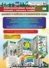 Природоохранные навыки поведения в природных условиях. Прогулки с ребёнком в экологических зонах. Ширмы с информацией для родителей и педагогов из 6 красочных секций