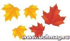 Мини-плакат вырубной  "Листья" (5 видов листьев по 10 шт.): упаковка 50 шт. — интернет-магазин УчМаг