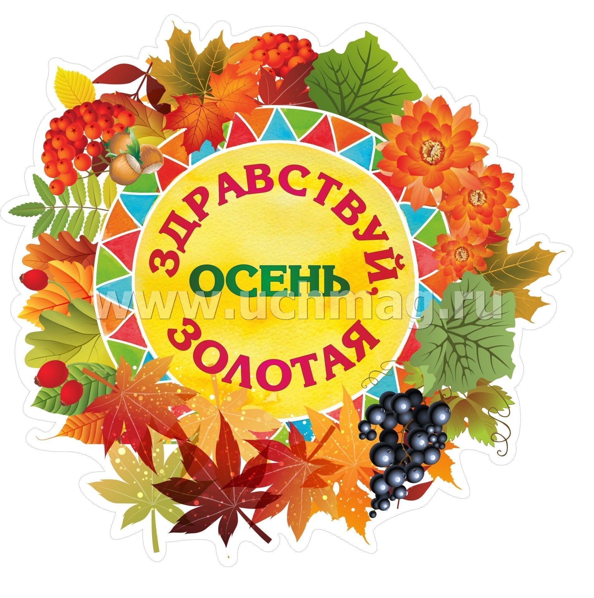 Фото Здравствуй Осень Золотая