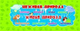 Умный веер. Окружающий мир: основные понятия + занимательные задания — интернет-магазин УчМаг