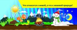 Умный веер. Всезнайкина академия. Скоро в школу: с занимательными заданиями — интернет-магазин УчМаг