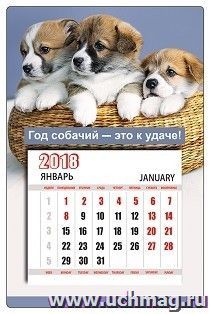 Год собаки по какому календарю