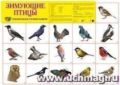 Плакат "Зимующие птицы" — интернет-магазин УчМаг