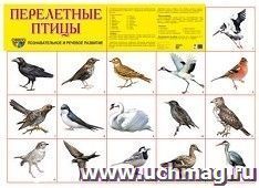 Плакат "Перелетные птицы" — интернет-магазин УчМаг