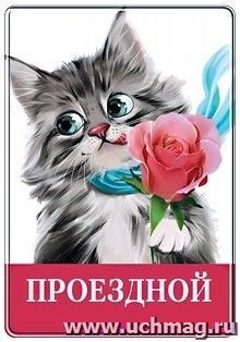 Футляр для проездного билета "Котик" — интернет-магазин УчМаг