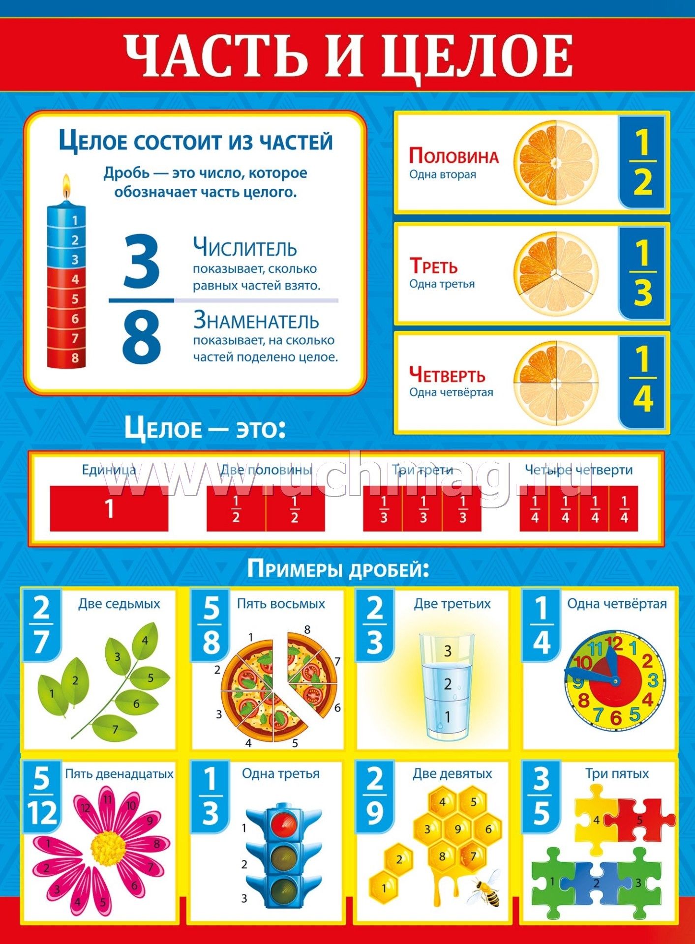 Часть и целое примеры Плакат "Часть и целое" - купить по цене: 61 руб. в интернет-магазине УчМаг