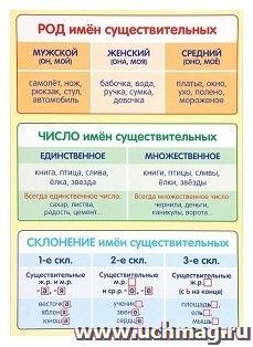 Обучающий плакат "Род и число имен существительных, их склонение" — интернет-магазин УчМаг