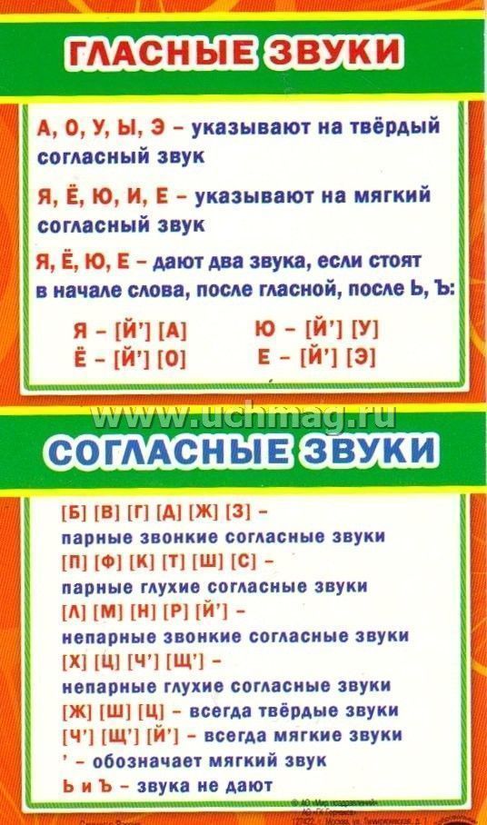 Сколько букв и звуков в слове объяснение