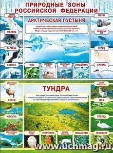 Плакат "Природные зоны РФ. Арктическая пустыня. Тундра", А2 — интернет-магазин УчМаг