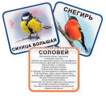 Набор развивающих карточек "Зимующие и перелётные птицы" — интернет-магазин УчМаг