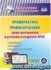 Профилактика правонарушений среди школьников в условиях внедрения ФГОС. Компакт-диск для компьютера: Особенности. Механизмы. Ведение документации