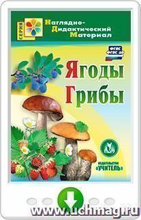 Ягоды. Грибы. Программа для установки через интернет — интернет-магазин УчМаг