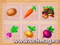 Картинки Разрезные Овощи И Фрукты Для Детей