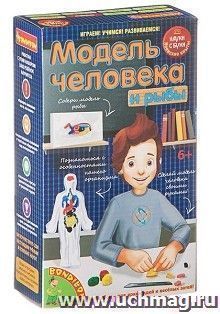 Модель человека. Японские научно-познавательные опыты Науки с Буки Вondibon — интернет-магазин УчМаг