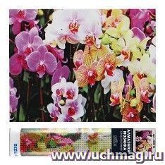 Мозаика алмазная "Орхидеи", 30*40 см — интернет-магазин УчМаг