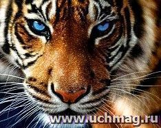 Алмазная мозаика "Тигр", 40*50 см — интернет-магазин УчМаг