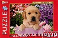 УчМаг